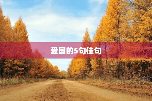爱国的5句佳句，爱国的5句佳句摘抄