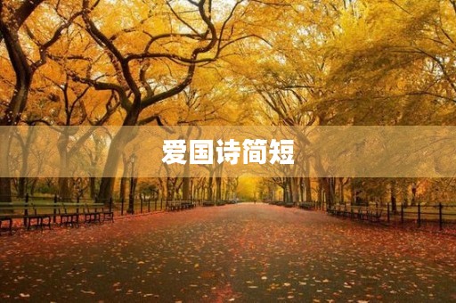 爱国诗简短，爱国诗简短4句现代诗