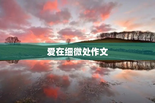 爱在细微处作文 爱在细微处作文