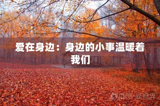 爱在身边：身边的小事温暖着我们
