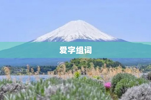 爱字组词(爱组词)