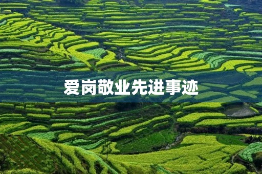 爱岗敬业先进事迹 爱岗敬业先进事迹