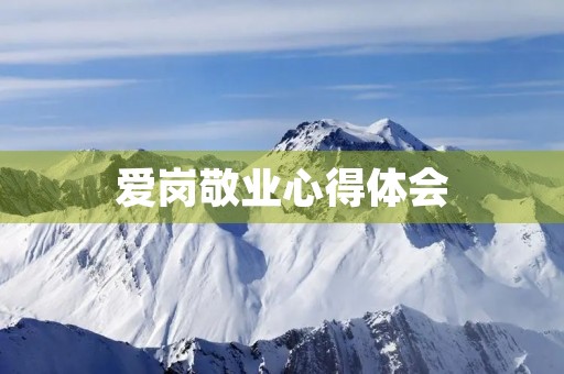 爱岗敬业心得体会