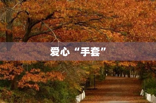 爱心“手套”
