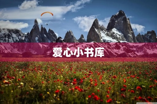 爱心小书库 爱心小书库