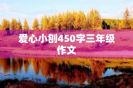 爱心小刨450字三年级作文 爱心小刨450字三年级作文