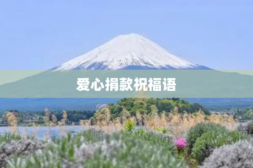 爱心捐款祝福语(捐赠物资寄语与祝福)