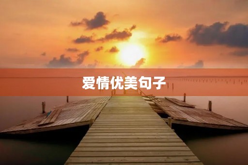 爱情优美句子(中年人的爱情优美句子)