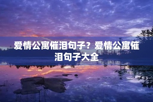 爱情公寓催泪句子？爱情公寓催泪句子大全
