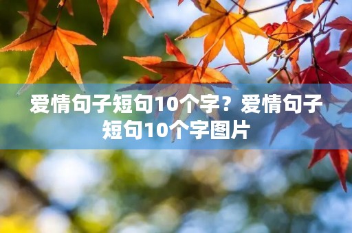爱情句子短句10个字？爱情句子短句10个字图片
