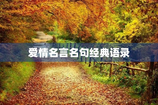 爱情名言名句经典语录(爱情名句经典语录) 爱情名言名句经典语录(爱情名句经典语录)