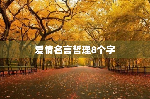 爱情名言哲理8个字(爱情名言哲理8个字怎么写)