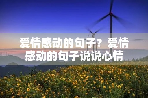 爱情感动的句子？爱情感动的句子说说心情