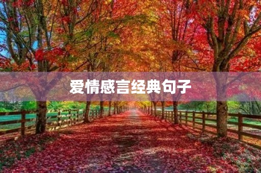 爱情感言经典句子(爱情感言经典句子简短)