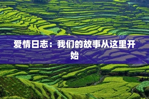 爱情日志：我们的故事从这里开始