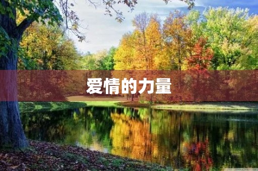 爱情的力量 爱情的力量