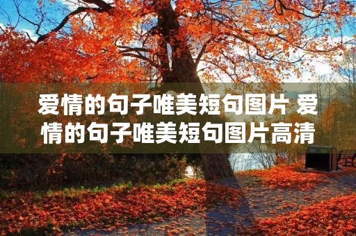 爱情的句子唯美短句图片 爱情的句子唯美短句图片高清加风景 爱情的句子唯美短句图片 爱情的句子唯美短句图片高清加风景