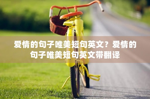 爱情的句子唯美短句英文?爱情的句子唯美短句英文带翻译 爱情的句子唯美短句英文?爱情的句子唯美短句英文带翻译