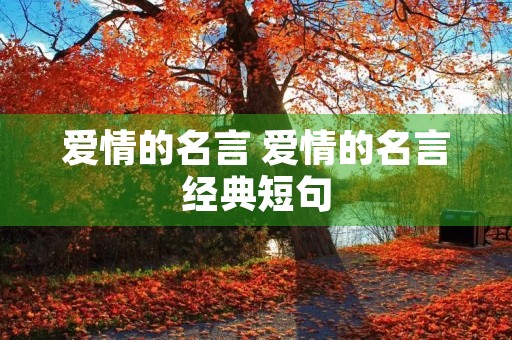 爱情的名言 爱情的名言经典短句