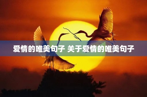 爱情的唯美句子 关于爱情的唯美句子