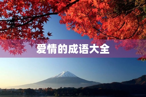 爱情的成语大全