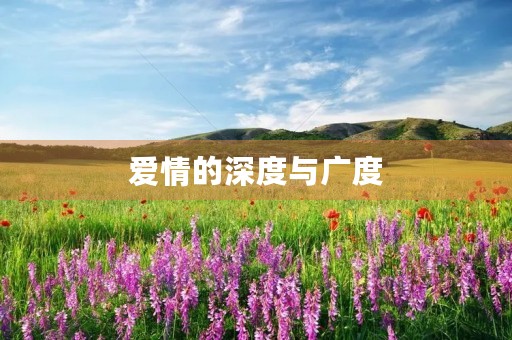 爱情的深度与广度 爱情的深度与广度