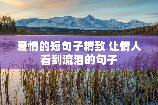 爱情的短句子精致 让情人看到流泪的句子 爱情的短句子精致 让情人看到流泪的句子