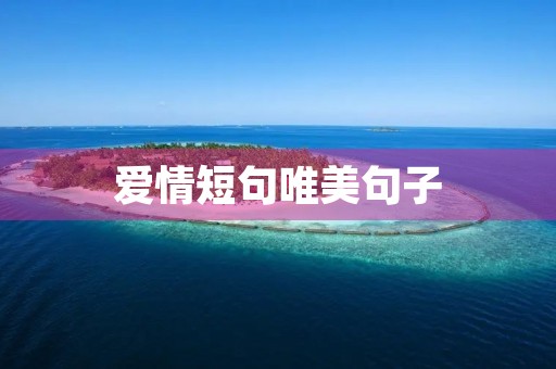 爱情短句唯美句子(爱情短句唯美6字)