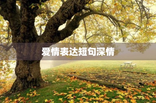 爱情表达短句深情(高情商的暖心句子) 爱情表达短句深情(高情商的暖心句子)