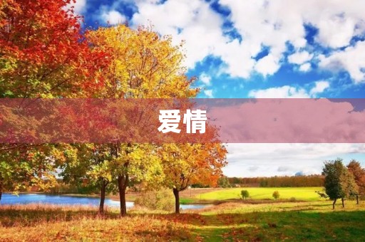 爱情，一种让人沉迷的情感