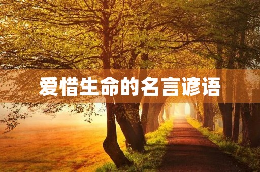 爱惜生命的名言谚语,爱惜生命的名言谚语格言警句赞美人生 爱惜生命的名言谚语,爱惜生命的名言谚语格言警句赞美人生