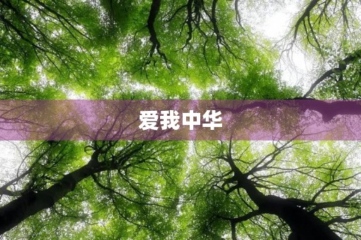 爱我中华，共筑中国梦