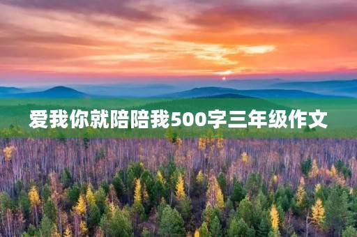 爱我你就陪陪我500字三年级作文 爱我你就陪陪我500字三年级作文