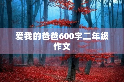 爱我的爸爸600字二年级作文
