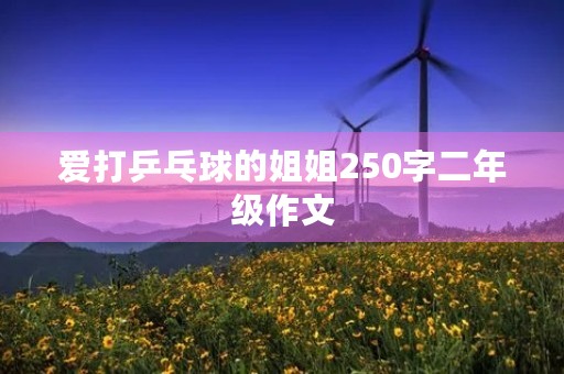 爱打乒乓球的姐姐250字二年级作文 爱打乒乓球的姐姐250字二年级作文