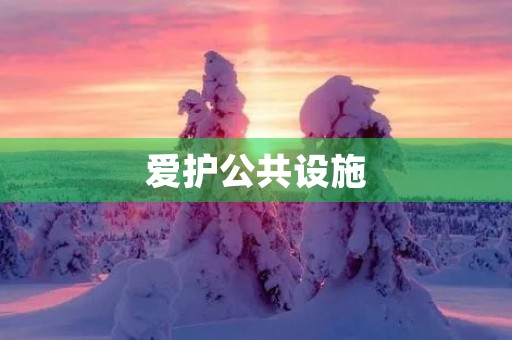 爱护公共设施,从我做起 爱护公共设施,从我做起