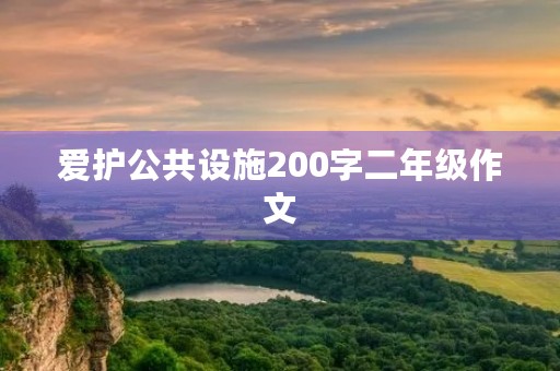 爱护公共设施200字二年级作文