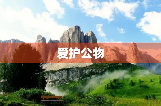 爱护公物，从我做起