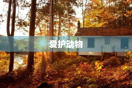 爱护动物,人人有责450字三年级作文 爱护动物,人人有责450字三年级作文