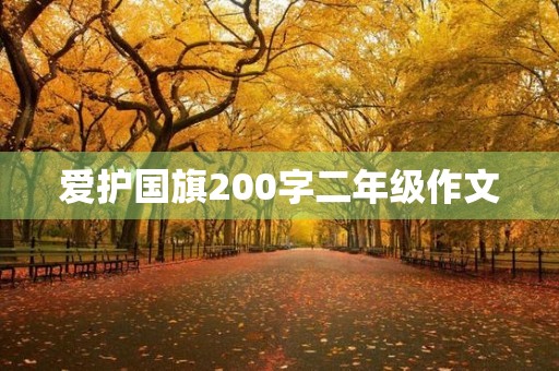 爱护国旗200字二年级作文 爱护国旗200字二年级作文