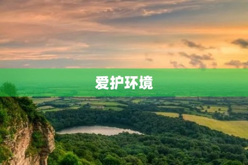 爱护环境，从我做起