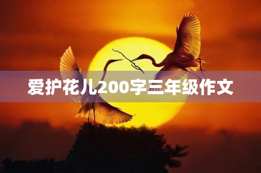 爱护花儿200字三年级作文