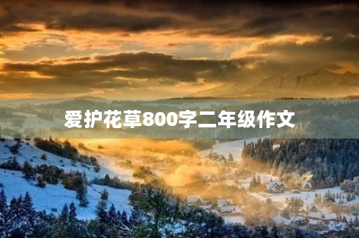 爱护花草800字二年级作文