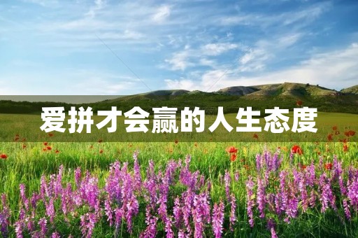 爱拼才会赢的人生态度