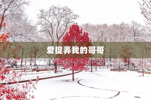 爱捉弄我的哥哥 爱捉弄我的哥哥
