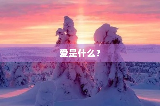 爱是什么? 爱是什么?