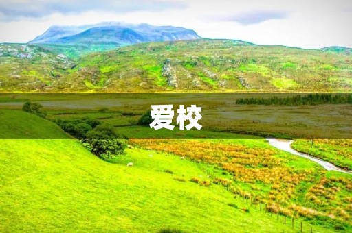爱校,传递正能量 爱校,传递正能量