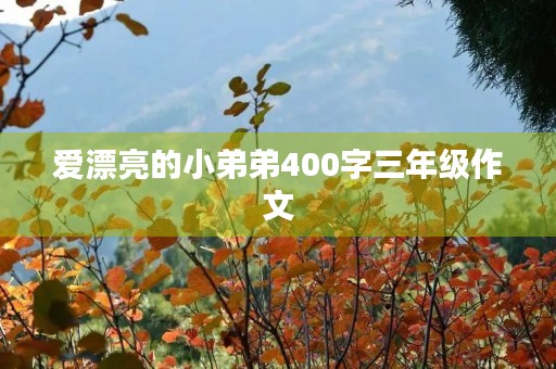 爱漂亮的小弟弟400字三年级作文