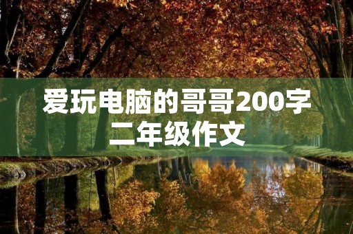 爱玩电脑的哥哥200字二年级作文