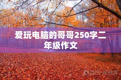 爱玩电脑的哥哥250字二年级作文